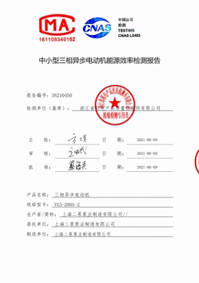 電機能效（xiào）報告YE3-280S-2
